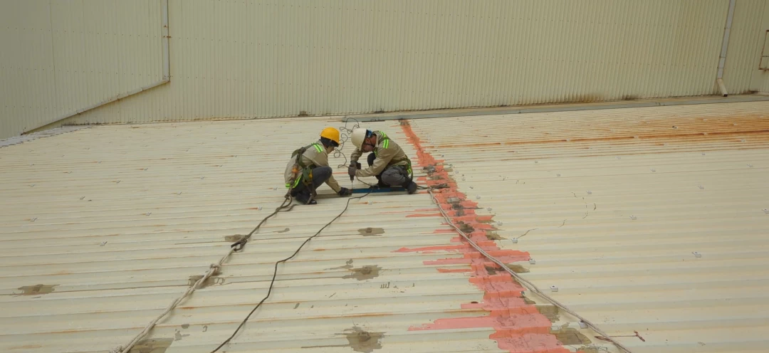 z6693425997983_b62ebc61acc6239c3f2d940a9b2491eb