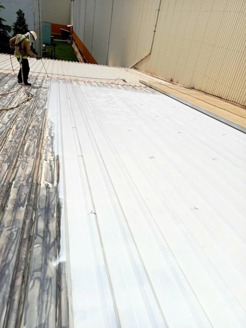 z6700337428261_b542f5c1aabb1bbac1dcefb0fb6dedde